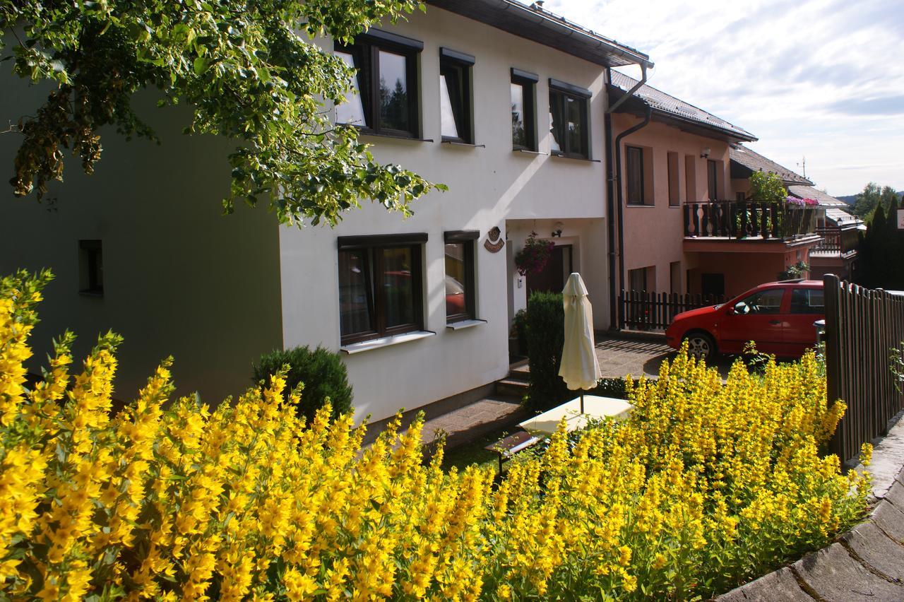 U Machacku - Lipno Apartment Lipno nad Vltavou Exterior photo